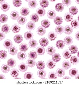 Floral seamless pattern with pink daisies. Suitable for printing on fabric, textile, wrapping paper, decorative wallpaper, packaging, invitations.