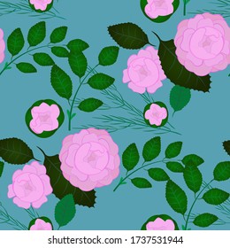 Floral seamless pattern of pink delicate roses, background for fabric, print postcard, wallpaper and pattern filling