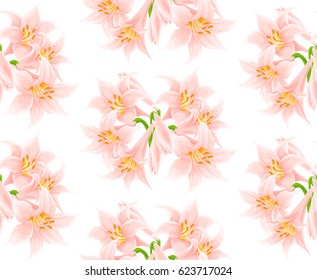 Floral seamless pattern with pink lily flowers on white background.