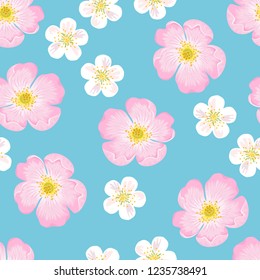 Floral seamless pattern. Pink and white flowers on a blue background. Vector illustration in flat style.