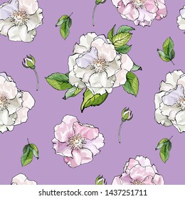 Floral seamless pattern with pink and white wild rose and green leaves on purple background. Beautiful Pattern for wedding stationary, fashion, wallpapers, greetings, background for web pages. 