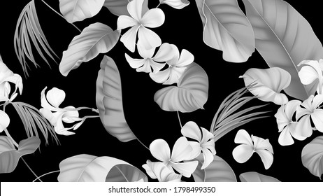 Floral seamless pattern, plumeria flowers with various leaves in black and white