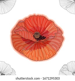 Floral seamless pattern. Poppies background. Floral seamless texture with flowers.