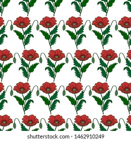 Floral seamless pattern of poppies. Vector illustration of hand drawing