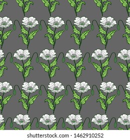 Floral seamless pattern of poppies. Vector illustration of hand drawing