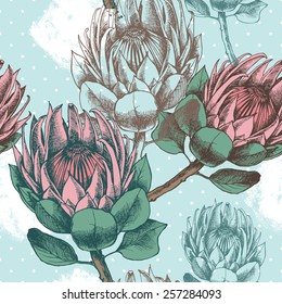 Patrón floral sin fisuras con protea. Ilustración vectorial dibujada a mano.