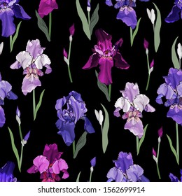 Floral seamless pattern with purple, violet, pink irises and green leaves on black background. For your design, textile, print. Hand drawn. Vector stock illustration.