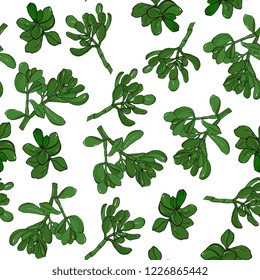 floral seamless pattern.  realistic Krassula ovata,home plants. color background for  cards, paper wrapper and other objects. Hand drawing vector illustration