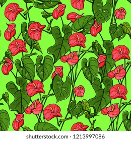 floral seamless pattern with red anthuriums. Hand drawing. Great for invitations, fabric, print, greeting cards decor