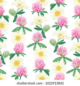 Floral seamless pattern with red clover and camomile isolated on white background. Cute pink summer flowers.  Design element for textile, fabrics, scrapbooking, wallpaper and etc. Vector illustration.
