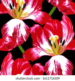Patrón floral sin fisuras con tulipanes rojos sobre fondo oscuro.Textura de fondo abstracta.