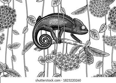 Floral seamless pattern. Reptile on the branches of a tree. Exotic Tropical Flowers, Vines, Leaves and Chameleon. Black and white. Vector illustration. Vintage. Template for paper, wallpaper, textiles