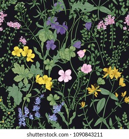 Floral seamless pattern with romantic blossoming wild flowers and meadow flowering herbaceous plants on black background. Natural realistic vector illustration for wallpaper, textile print, backdrop