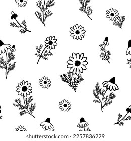 Floral seamless pattern with silhouettes flowers chamomile. Black and white hand drawn botanical background. Monochrome botanical wallpaper with simple plants