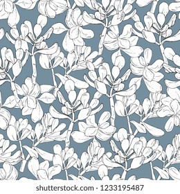 floral seamless pattern.  sketch Krassula ovata home plants. color background for cards, paper wrapper and other objects. Hand drawing vector illustration