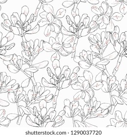 floral seamless pattern.  sketch Krassula ovata home plants. color background for cards, paper wrapper and other objects. Hand drawing vector illustration