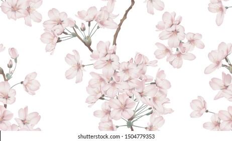 Premium Vector  Seamless pattern cherry blossoms flowers in 2024