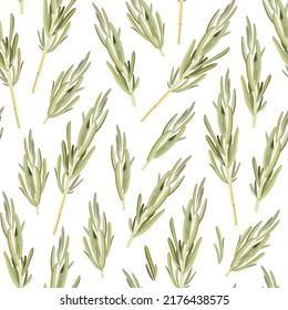 Patrón floral sin fisuras con brotes de romero. Adecuado para imprimir en tela, textil, papel de envoltura, papel pintado decorativo, embalaje, invitaciones.