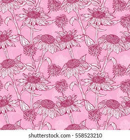 Floral seamless pattern. Summer Flowers. Medicinal plants background. Echinacea Purpurea Flowers. Eastern Purple Coneflower. Alternative medicine. Traditional herbal therapy. Vector illustration