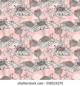Floral seamless pattern. Summer Flowers. Medicinal plants background. Echinacea Purpurea Flowers. Eastern Purple Coneflower. Alternative medicine. Traditional herbal therapy. Vector illustration