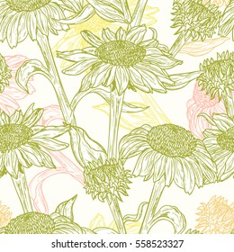 Floral seamless pattern. Summer Flowers. Medicinal plants background. Echinacea Purpurea Flowers. Eastern Purple Coneflower. Alternative medicine. Traditional herbal therapy. Vector illustration