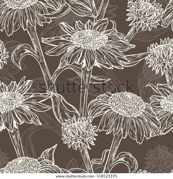Floral seamless pattern. Summer Flowers.\
Medicinal plants background. Echinacea Purpurea Flowers. Eastern\
Purple Coneflower. Alternative medicine. Traditional herbal\
therapy. Vector\
illustration