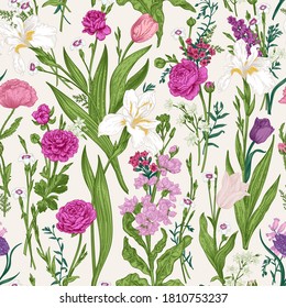 Floral seamless pattern with summer and spring plants. Vector botanical illustration. Pink garden flowers.