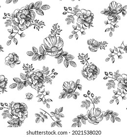 Patrón floral sin fisuras. Diseño textil. Ilustración vectorial de cadera rosa. 