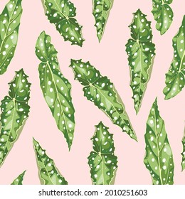 Patrón sin costuras florales, hojas de plantas exóticas tropicales, hojas lindas en un punto sobre fondo rosado.