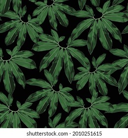 Floral seamless pattern, tropical exotic plant leaves on black background.