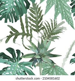 Floral seamless pattern, tropical  plants, fern and leaves, monstera palm on white background.