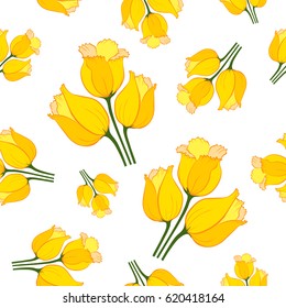 Floral seamless pattern with tulips on white background.  Spring flowers blossom hand drawn vector illustration. Vintage background with hand drawn tulips. 