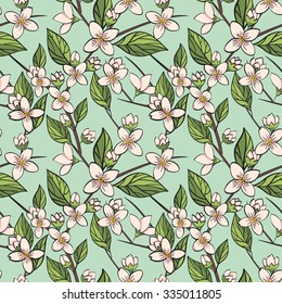 Floral seamless pattern; vector background; jasmine flowers