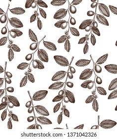 Floral seamless pattern. Vector Coffeeberry (Jojoba) illustration. Hand drawn flowering tree sketch. Botanical background. Vintage plant drawing.