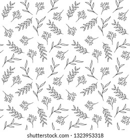 Floral seamless pattern. Vector hand drawn herbs, berries. Perfect for coloring