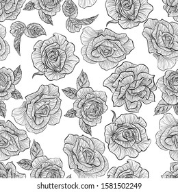 Floral seamless pattern. Vector line art illustration with roses flowers. Hand drawn pattern isolated on white background. 