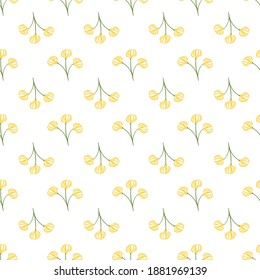 Floral Seamless Pattern with Vector Ylang Ylang Flower Buds.