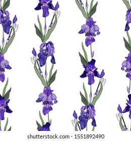 Floral seamless pattern with violet flowers and green leaves on white. Hand drawn.Background with purple irises for your design, prints, textile, web pages. Realistic style. Vector stock illustration.