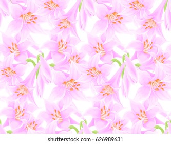 Floral seamless pattern with violet flowers of lily on white background.