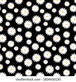Floral seamless pattern. White daisies on a black background, wallpaper fabric wrapping