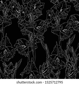 Floral seamless pattern with white line gladiolus on black background. Flower print.