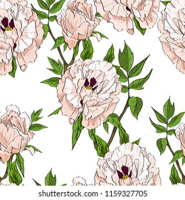 Floral seamless pattern with white peonies and leaves on white background. Hand drawn illustration.