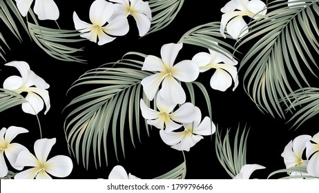 Floral Seamless Pattern, White Plumeria Flowers With Indoor Bamboo Palm Leaves On Black