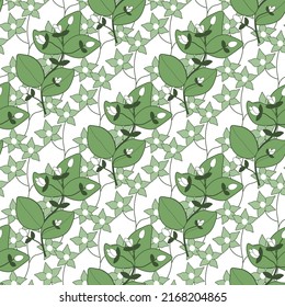 Floral seamless pattern white-green. Plant Chickweed, Woodlice. Trendy summer background with leaves for fabric, wallpaper, paper