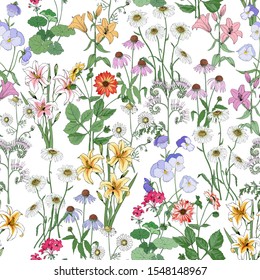 Floral seamless pattern. Wildflowers Flower summer background