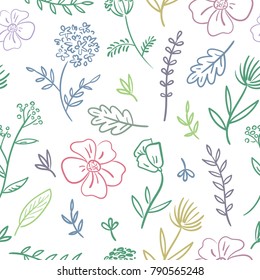 Floral seamless pattern. Wildflowers on a white background.