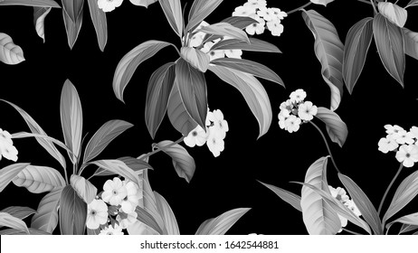 Floral seamless pattern, Woolly rock jasmine flowers and Cordyline fruticosa Firebrand plant in black and white