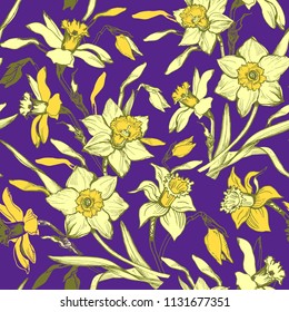 Floral seamless pattern with yellow hand drawn flowers daffodils, narcissus. Bright yellow floral elements on violet background. Vector Illustration