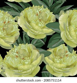 Floral Seamless Pattern with yellow lime peony flowers and leaves. Blooming Flowers on black Background.	