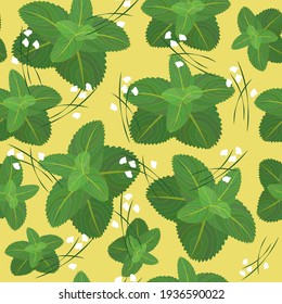 Floral sin soldadura.Hojas de menta verde recogidas en un grupo de fondo amarillo.Diseño botánico moderno para telas de moda, tarjetas y plantillas, scrapbooking, etc.Ilustración vectorial.
